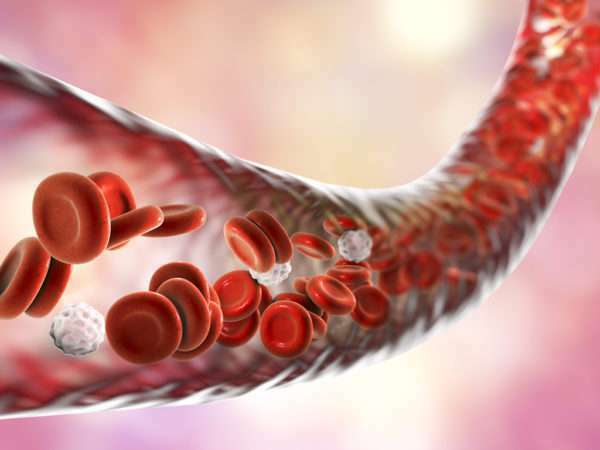 Trifocus fitness academy - worry about iron