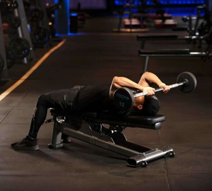 Trifocus Fitness Academy - muscle mass