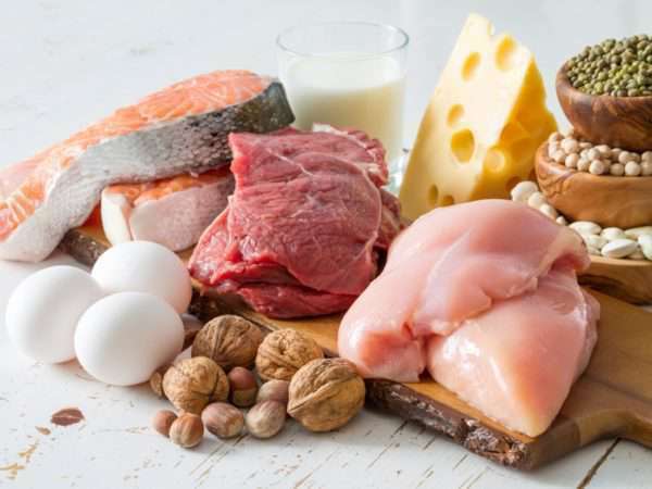 Trifocus fitness academy - protein