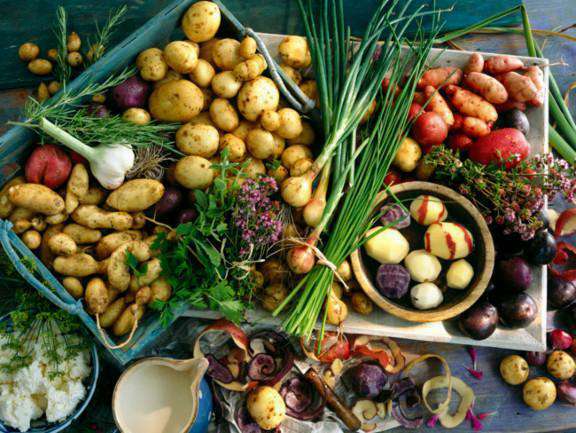 Trifocus fitness academy - carbo loading