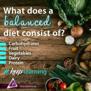 What makes for good nutrition?