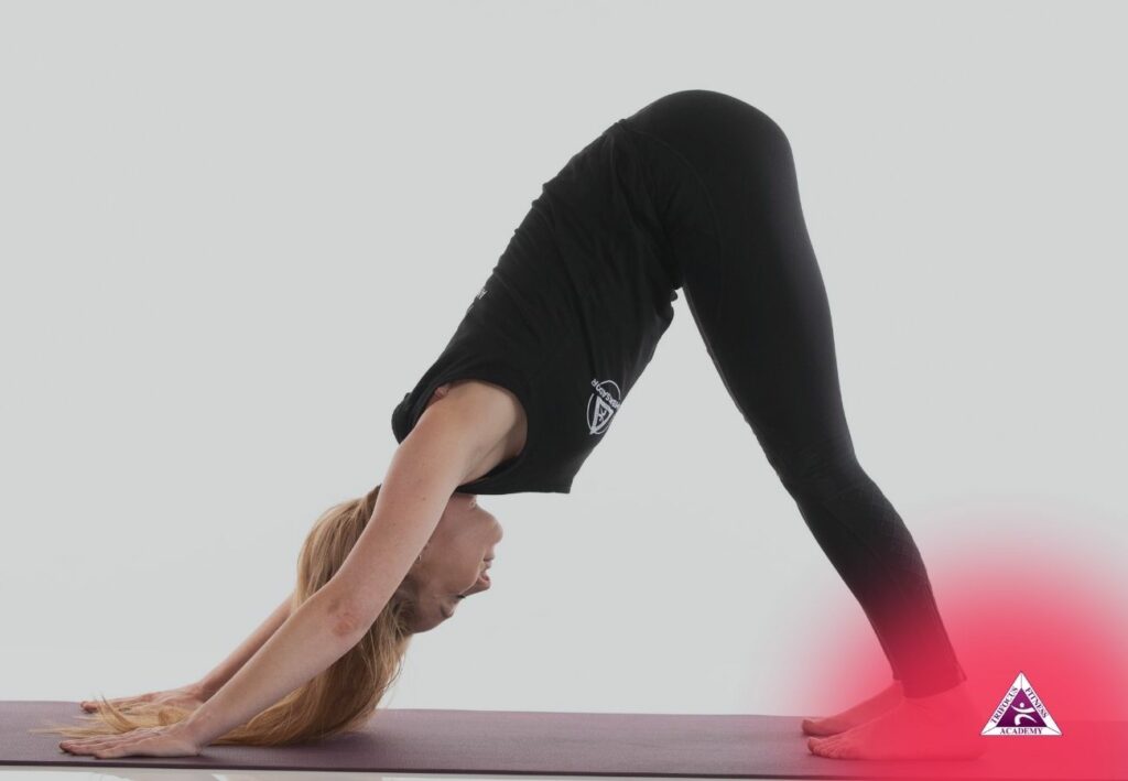 Trifocus Fitness Academy - yoga