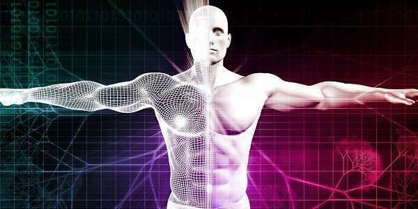 What is exercise science?