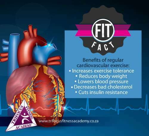 Trifocus Fitness Academy - cardiovascular fitness programme