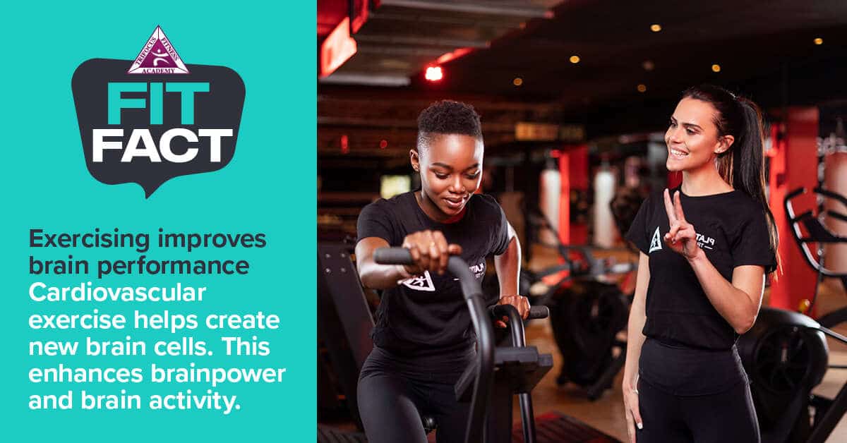 Trifocus Fitness Academy - cardio