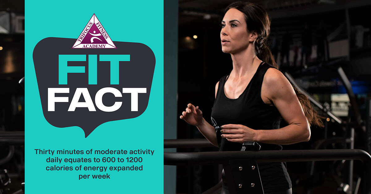 Trifocus Fitness Academy - exercise