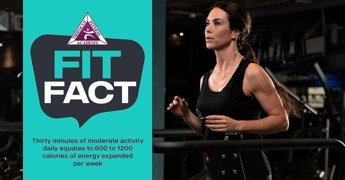 Trifocus Fitness Academy - workout routine