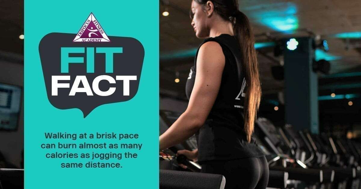 Trifocus Fitness Academy - workout