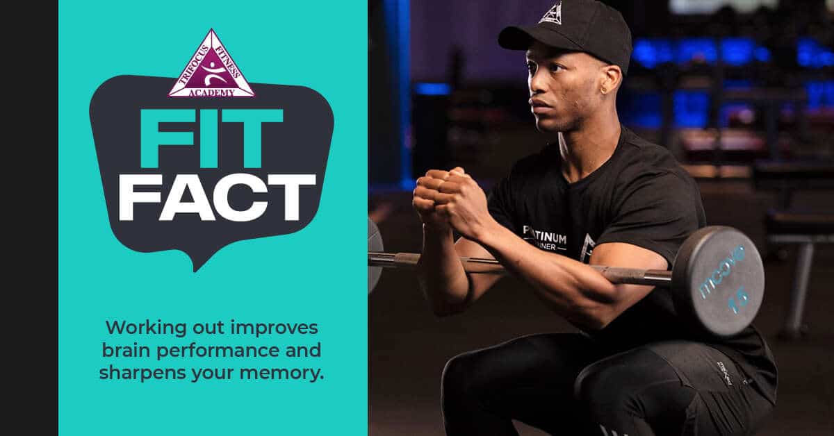 Trifocus Fitness Academy - memory