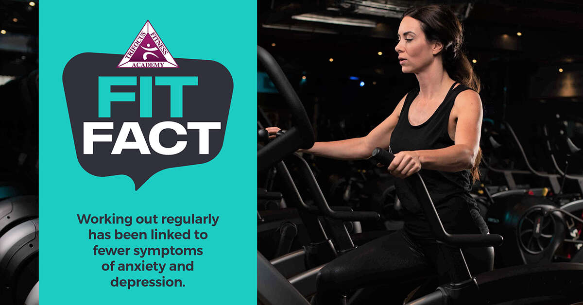 TTrifocus Fitness Academy -exercise