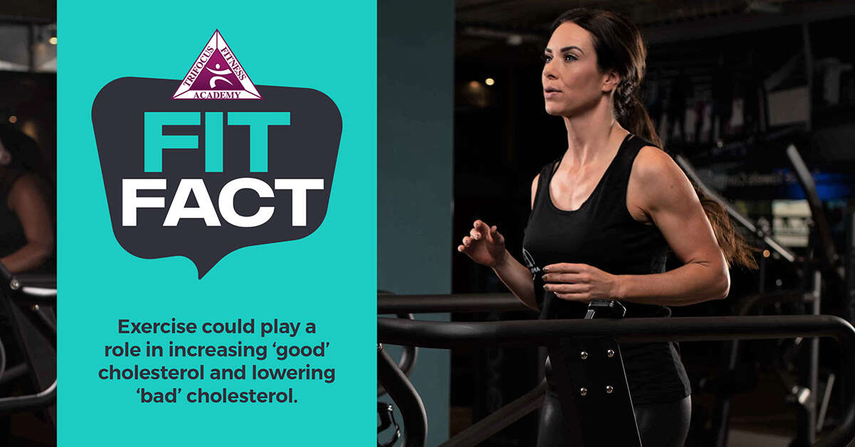 Trifocus Fitness Academy - cardio fitness