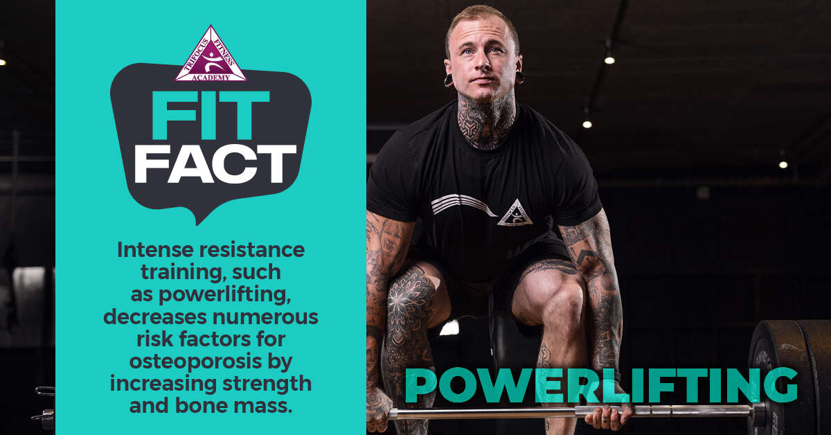 Trifocus Fitness Academy - weights