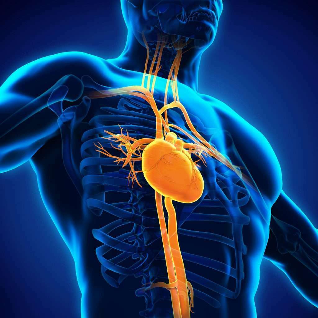 Up your Game with Exercise Science