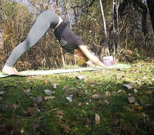 Trifocus Fitness Academy - Inverted poses