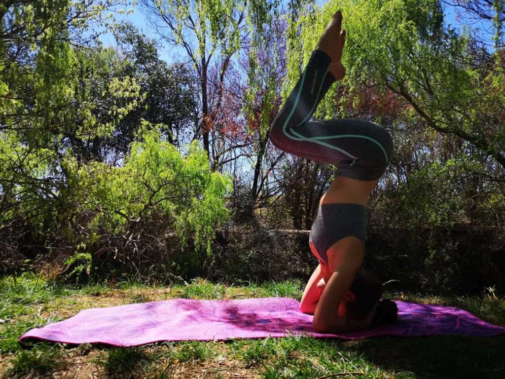 Trifocus Fitness Academy - Inverted poses