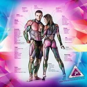 fundamental exercise science