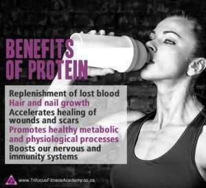 Trifocus protein powders