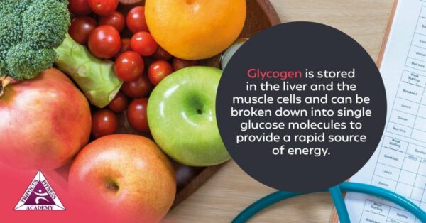 Trifocus Fitness Academy - nutrition