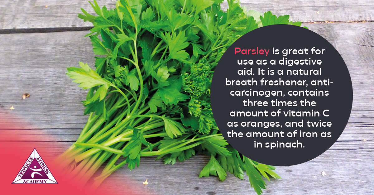 Trifocus Fitness Academy - multiple sclerosis