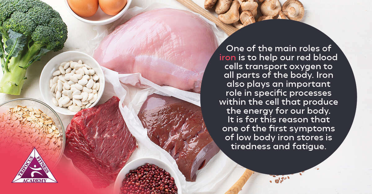 Trifocus Fitness Academy - Post-Operative Recovery