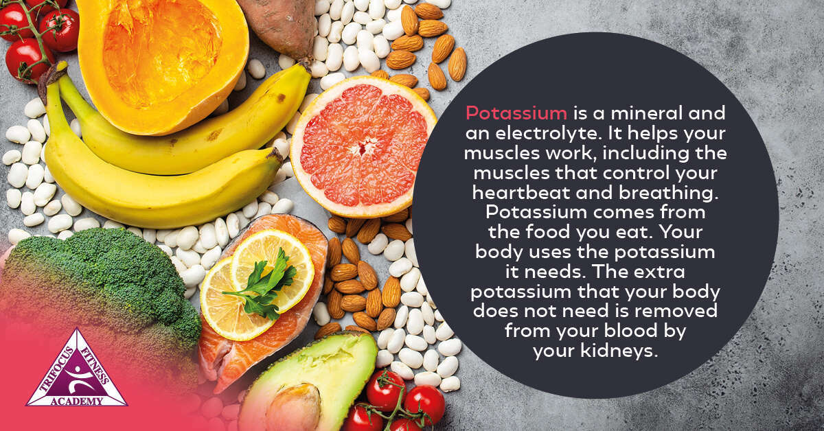 Trifocus Fitness Academy - multivitamin