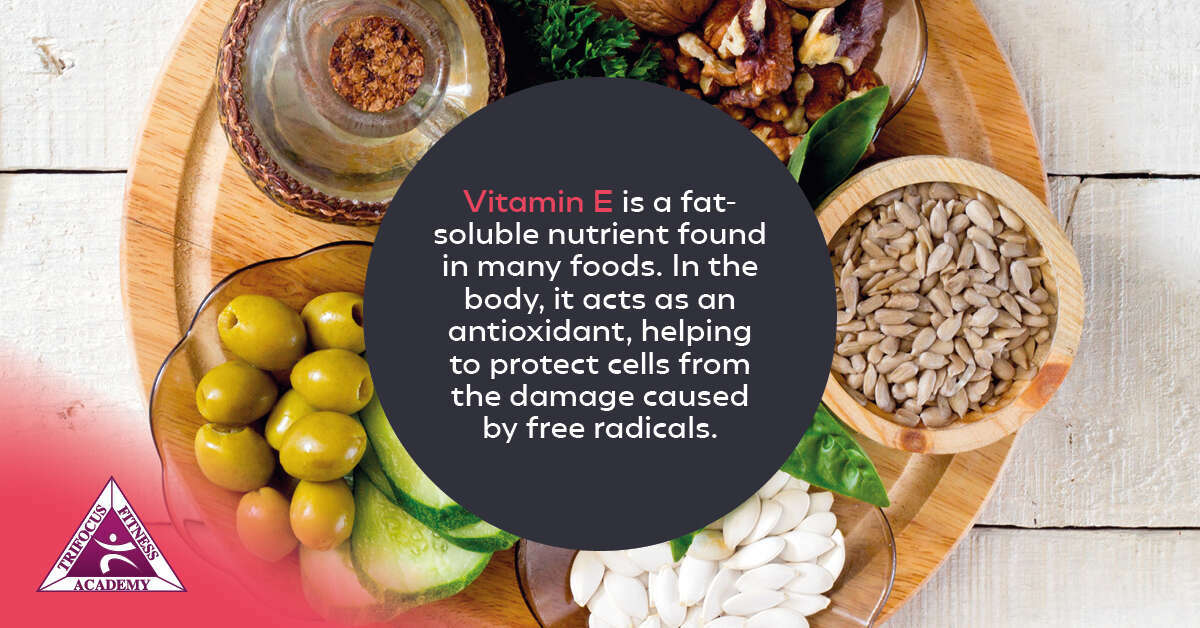 Trifocus Fitness Academy - Almonds