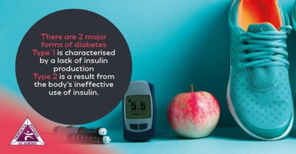 Trifocus Fitness Academy - endocrine system