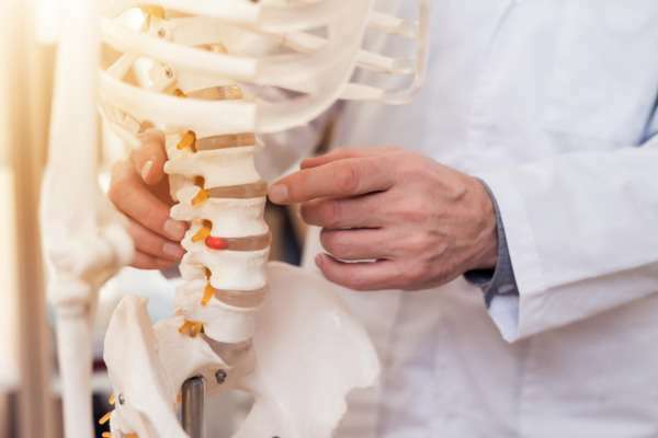 Trifocus fitness academy - vertebral bones