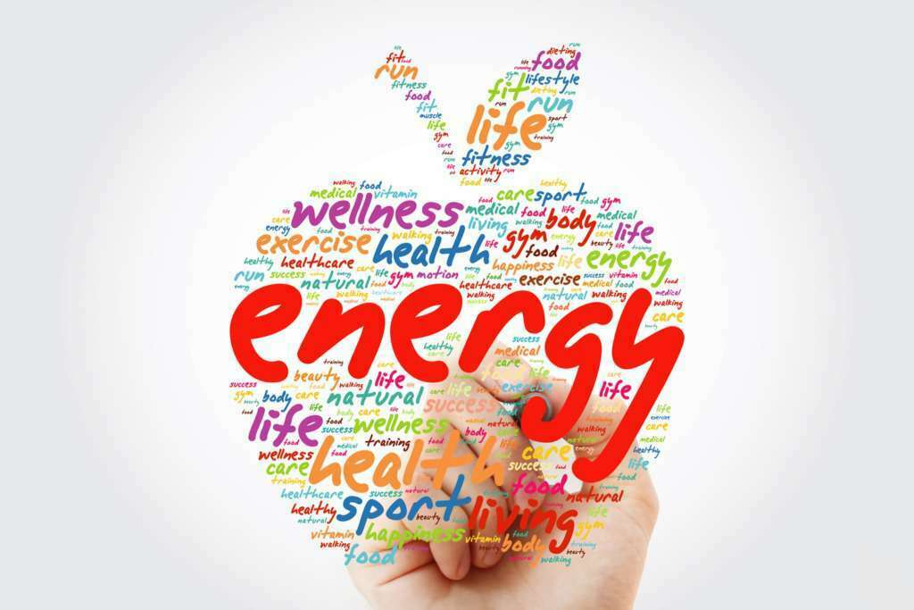 Trifocus Fitness Academy - energy systems