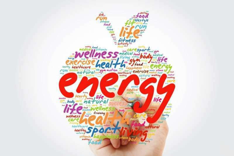 Trifocus Fitness Academy - energy systems