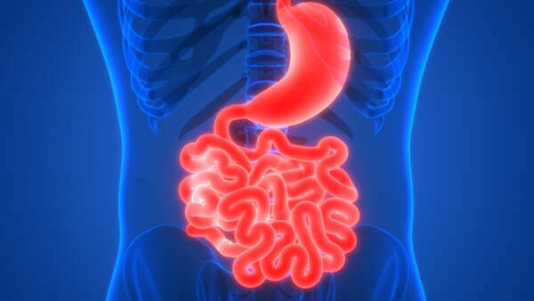 Trifocus Fitness Academy - flaxseed