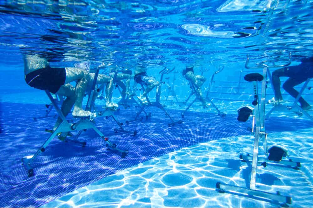 Trifocus Fitness Academy - knees