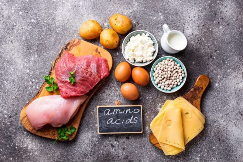 Trifocus fitness academy - amino acids