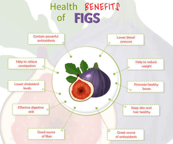 Trifocus Fitness Academy - Figs