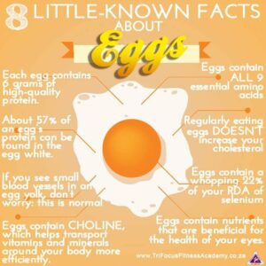 Eggs contain healthy fats