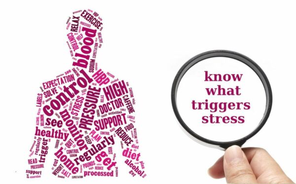 Trifocus Fitness Academy - stress levels