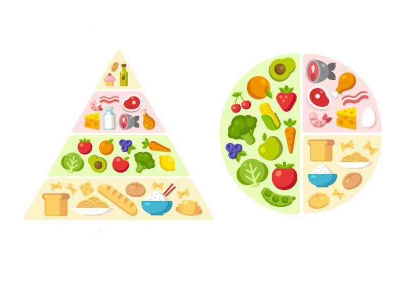 food pyramid