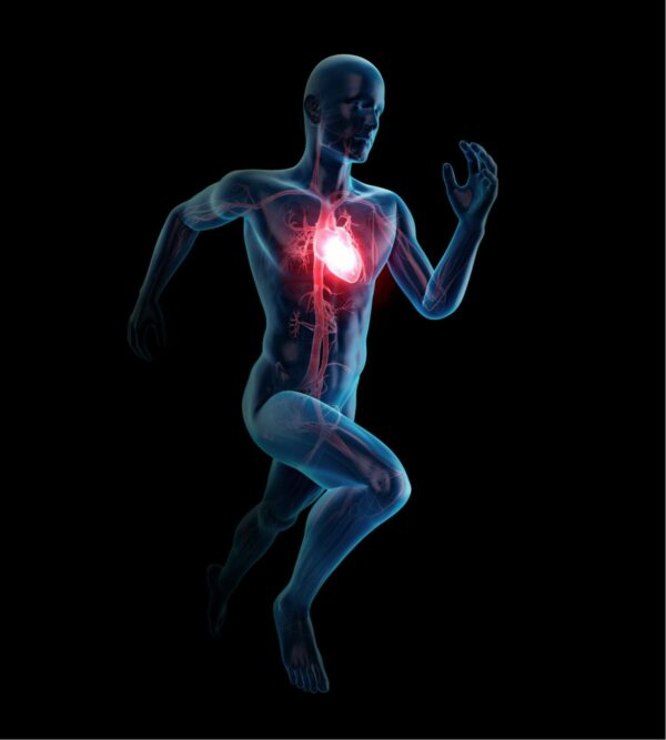 Trifocus Fitness Academy - physiological response