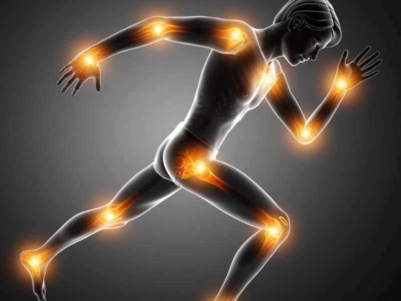 Trifocus fitness academy - joint