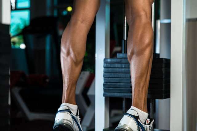 Calf Raises - Trifocus Fitness Academy