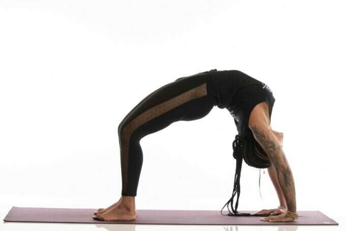 Trifocus Fitness Academy - flexibility