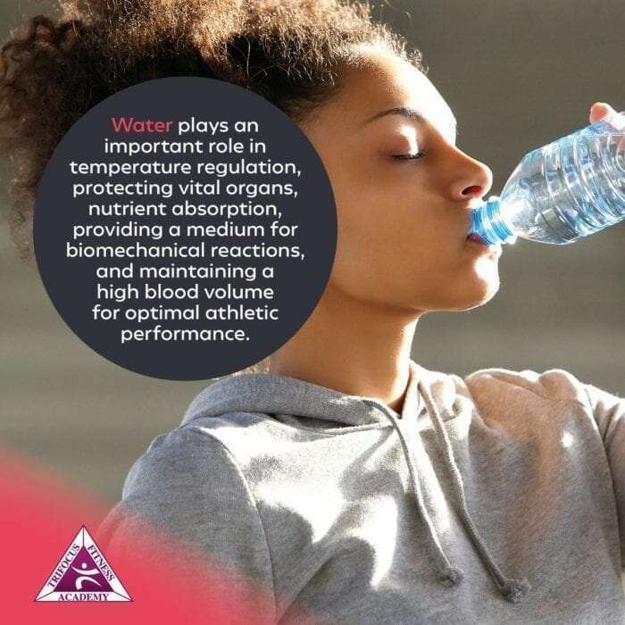 Trifocus Fitness Academy - drinking